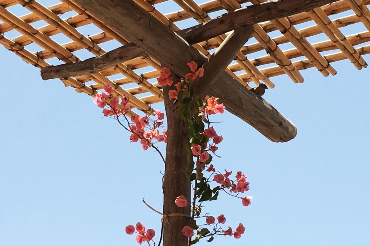 Riad Of The Storks - Exclusive Use For Up To 17 Persons مراكش المظهر الخارجي الصورة