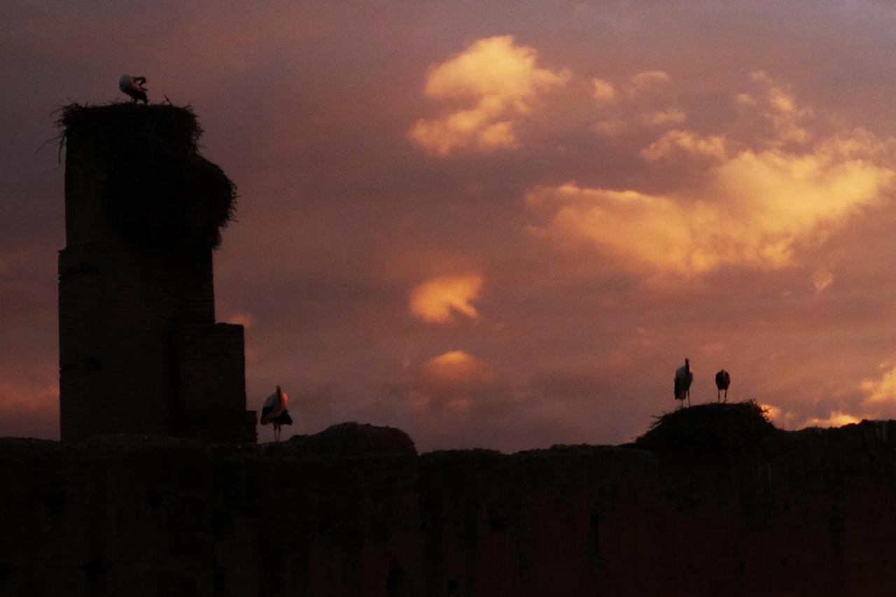 Riad Of The Storks - Exclusive Use For Up To 17 Persons مراكش المظهر الخارجي الصورة